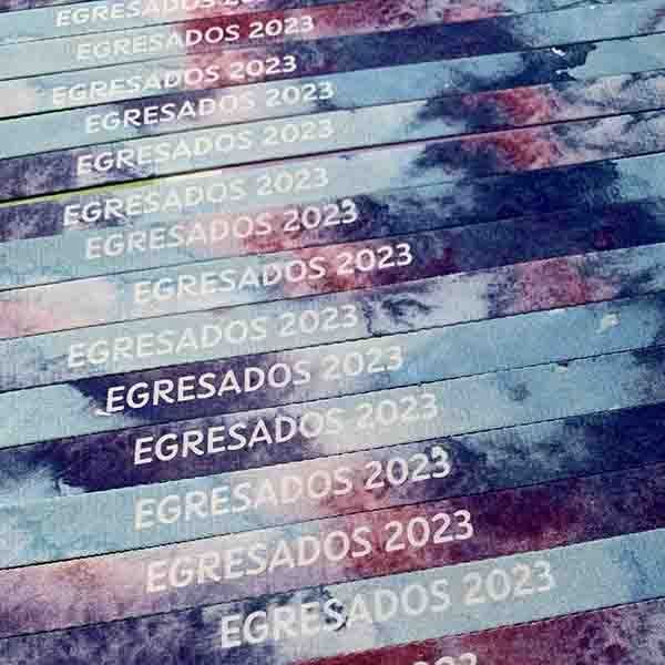 Cinta porta llaves - Lanyard - Imagen 3