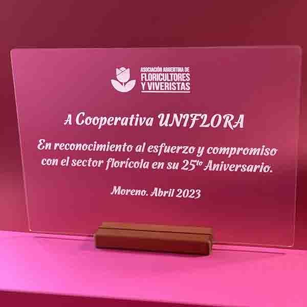 Placa de reconocimiento